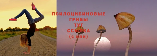 скорость mdpv Абаза